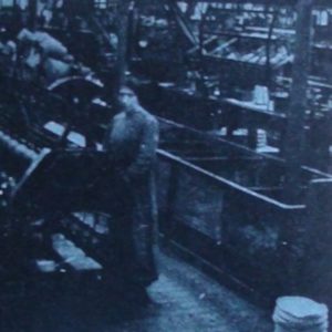 LIBRO: La guerra de géneros mundial. Por K.A.García-Salmones