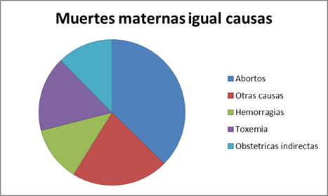 Causas de las muertes maternas en Argentina