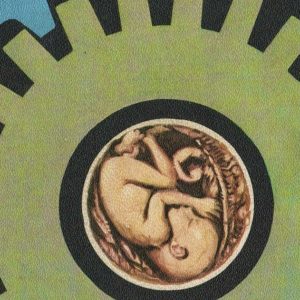 Entre la ectogénesis y la felicidad de la madre. Sobre la reproducción del género humano en el patriarcado productor de crisis. Por Thomas Meyer
