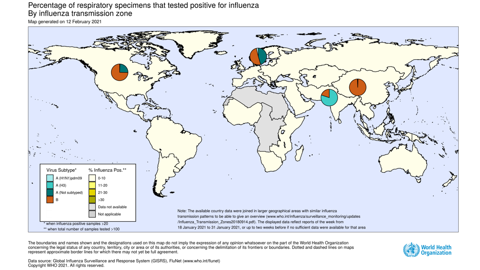 La pandemia de gripe está embebida dentro de la pandemia de coronavirus o ha desaparecido, suena a fraude estadístico